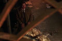 SPN_1336