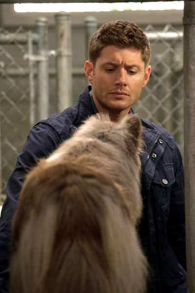 Supernatural -- "Dog Dean Afternoon" -- Image SN906a_1529 -- Pictured: Jensen Ackles as Dean -- Credit: Jack Rowand/The CW --  &copy; 2013 The CW Network, LLC. All Rights Reserved