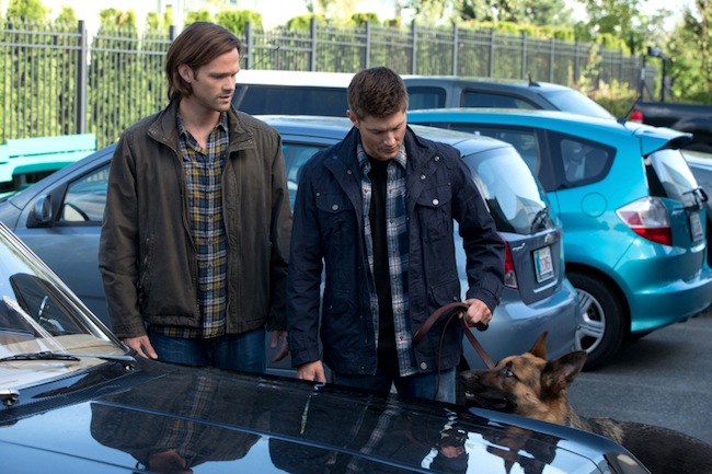 Supernatural -- "Dog Dean Afternoon" -- Image SN906a_1639 -- Pictured (L-R): Jared Padalecki as Sam and Jensen Ackles as Dean -- Credit: Jack Rowand/The CW --  &copy; 2013 The CW Network, LLC. All Rights Reserved