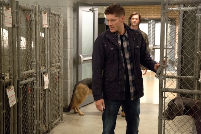 Supernatural -- "Dog Dean Afternoon" -- Image SN906a_4147 -- Pictured (L-R): Jensen Ackles as Dean and Jared Padalecki as Sam -- Credit: Jack Rowand/The CW --  &copy; 2013 The CW Network, LLC. All Rights Reserved