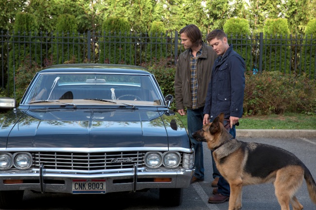 Supernatural -- "Dog Dean Afternoon" -- Image SN906a_4231 -- Pictured (L-R): Jared Padalecki as Sam and Jensen Ackles as Dean -- Credit: Jack Rowand/The CW --  &copy; 2013 The CW Network, LLC. All Rights Reserved